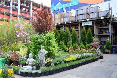 Landscape store - South's landscape marketplace for all of metro Atlanta, Gainesville, Chattanooga, Tallahassee, and Athens. From inspiration to installation, you can plan your landscape, shop all your plants, and get them all planted by local professionals. ... We do not have a retail store open to the public. ServeScape partners with local horticultural specialty farmers, ...
